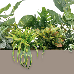 Broadleaf artificial planting