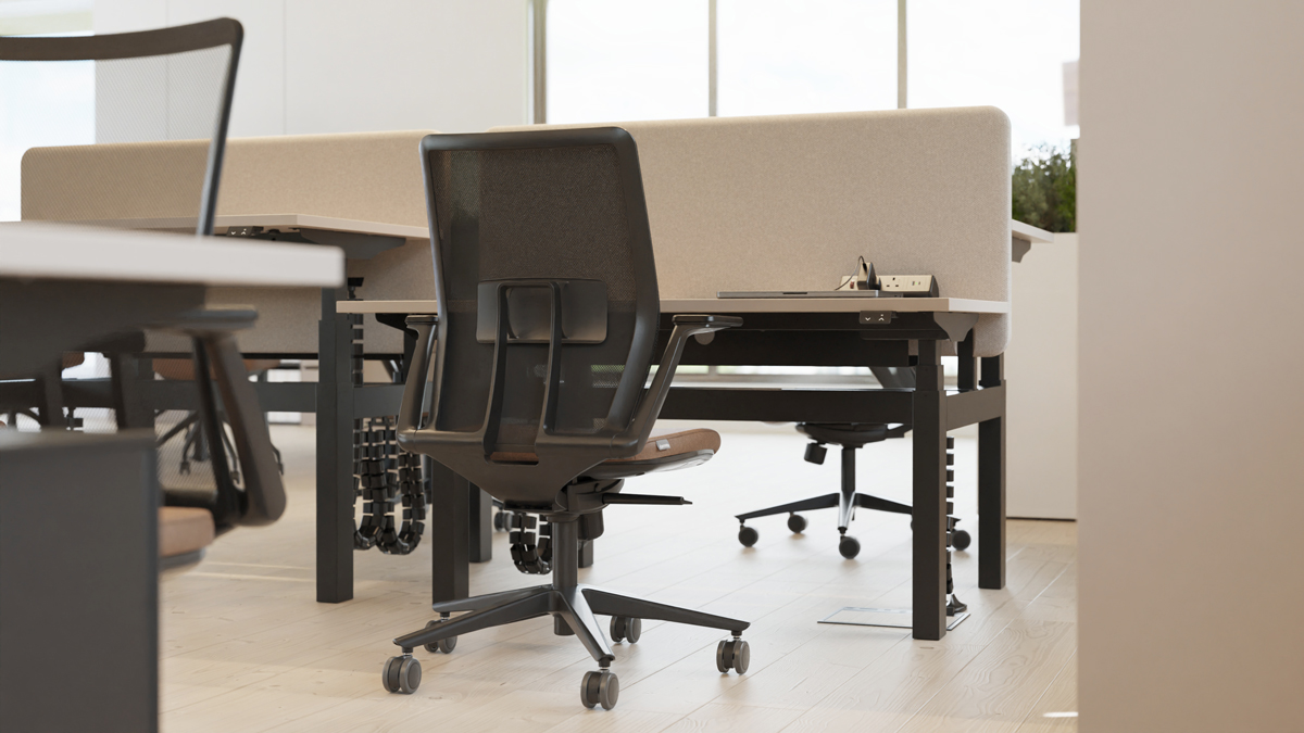 SYSTM height adjustable back-to-back bench