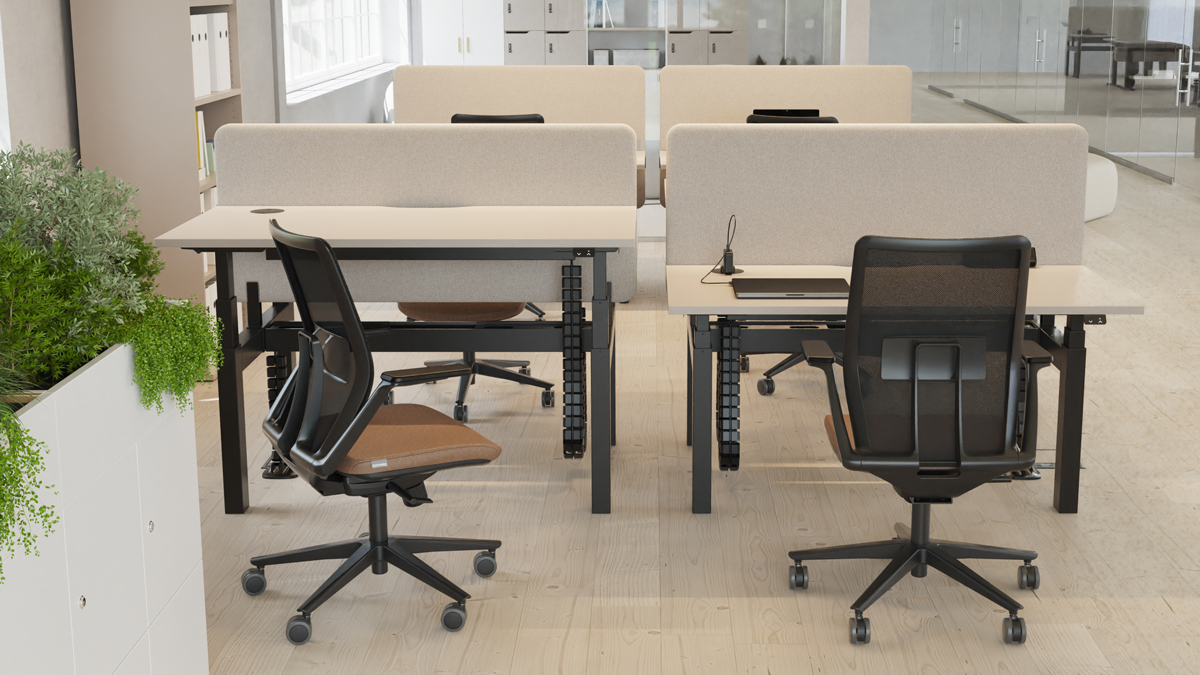 SYSTM height adjustable back-to-back bench