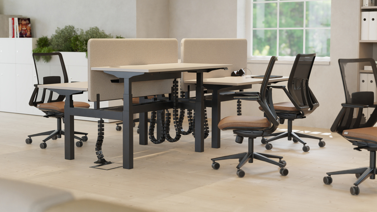 SYSTM height adjustable back-to-back bench