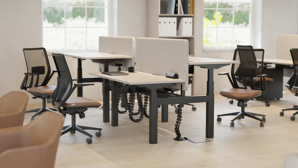 SYSTM height adjustable back-to-back bench