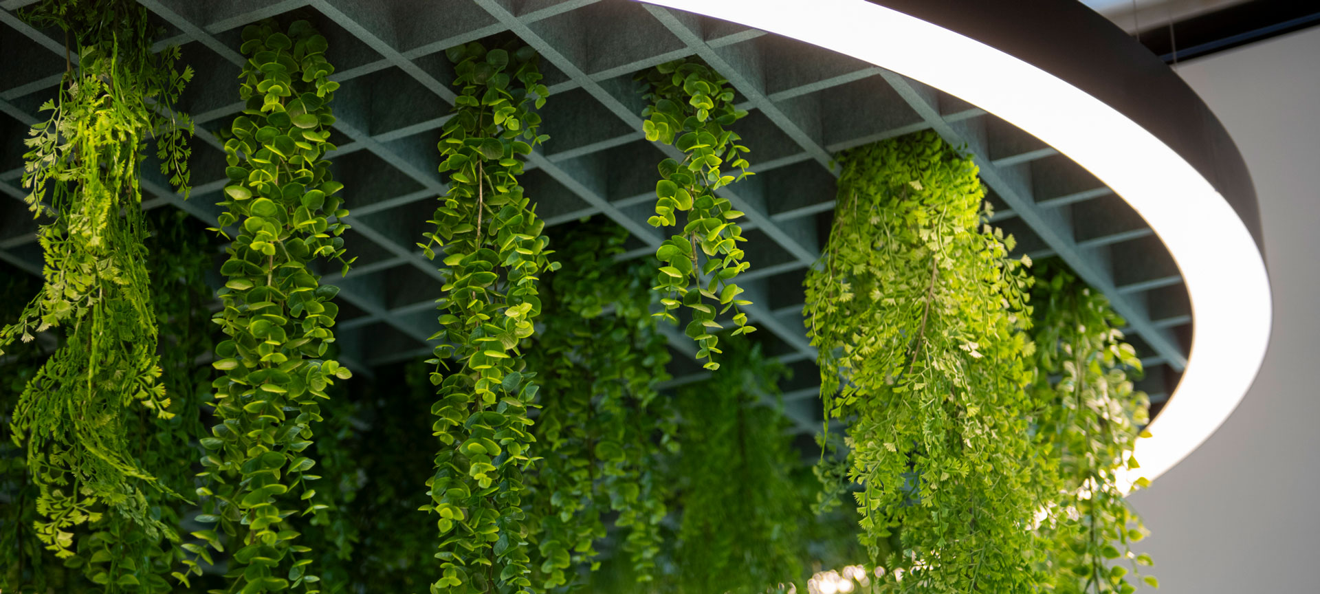 Artificial plants