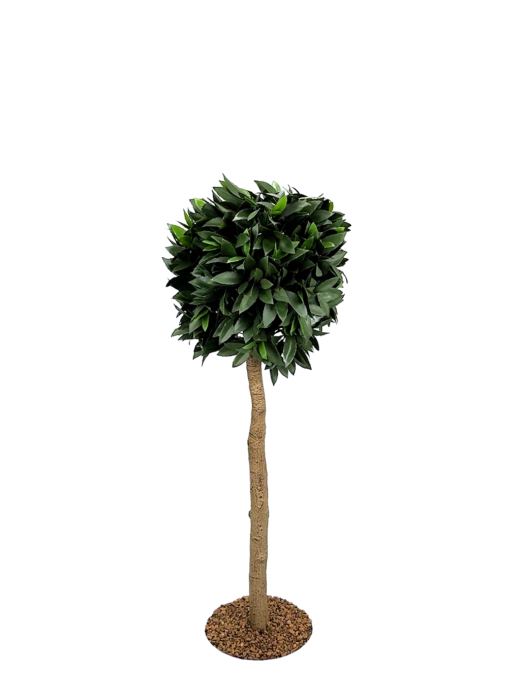 Artificial Bay Laurel Tree