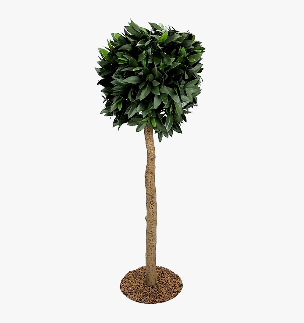 Artificial Bay Laurel Tree