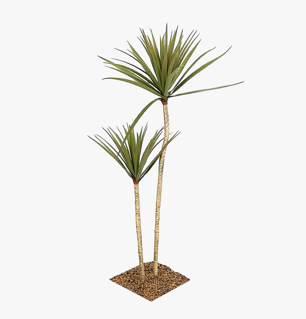 Artificial Dragon Tree