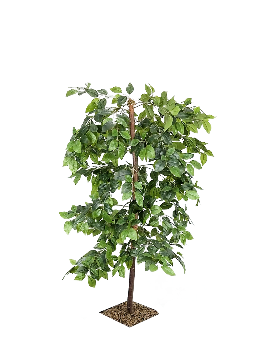Artificial Ficus Tree