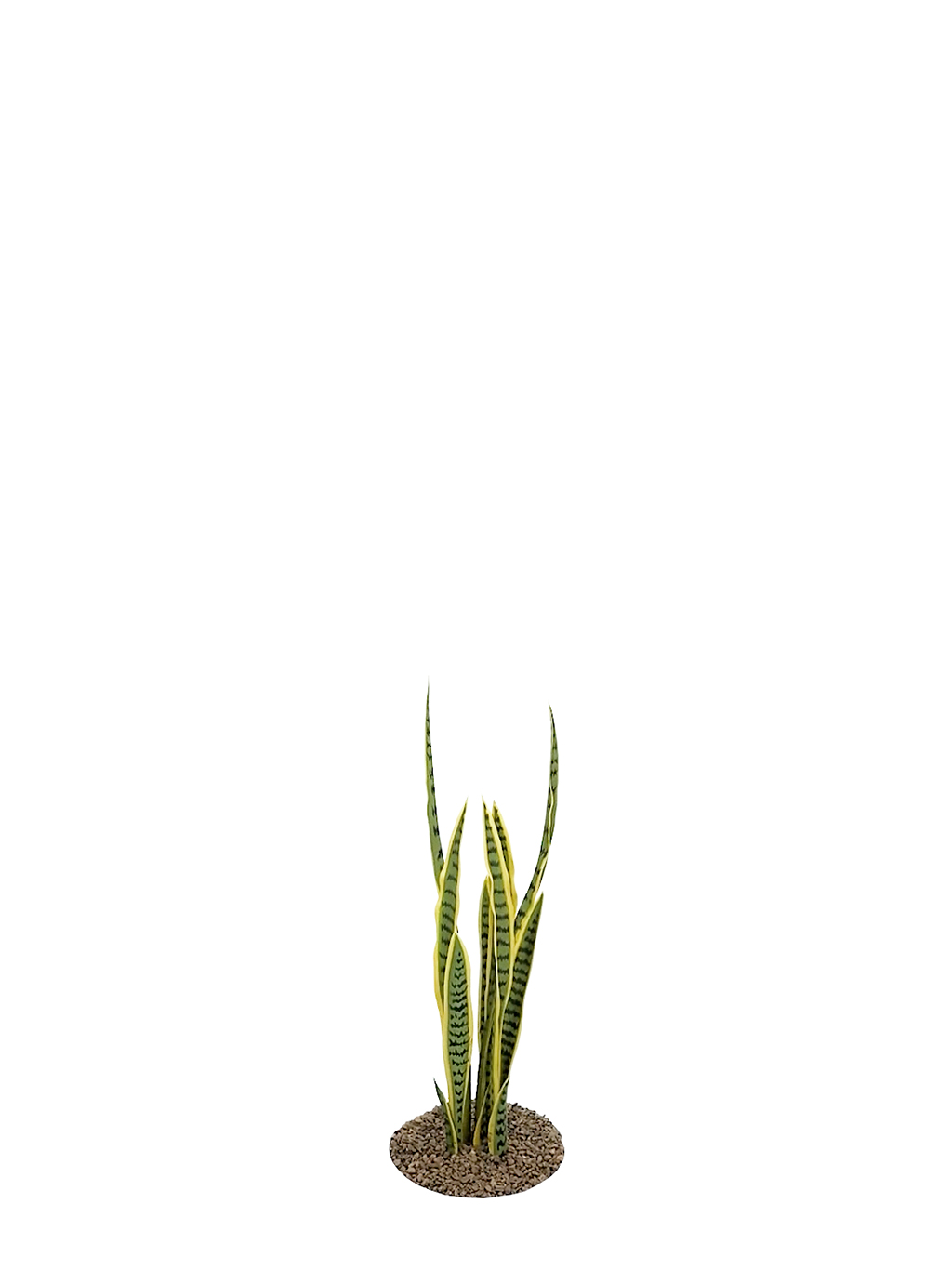 Artificial Sanseviera