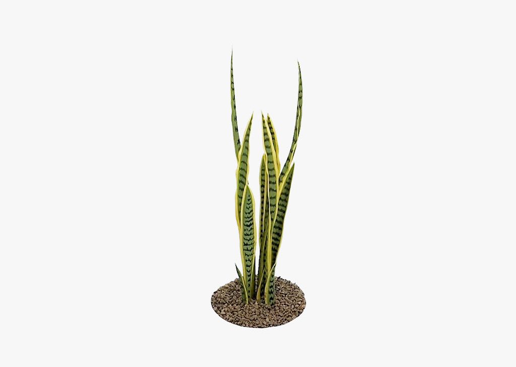 Artificial Sanseviera